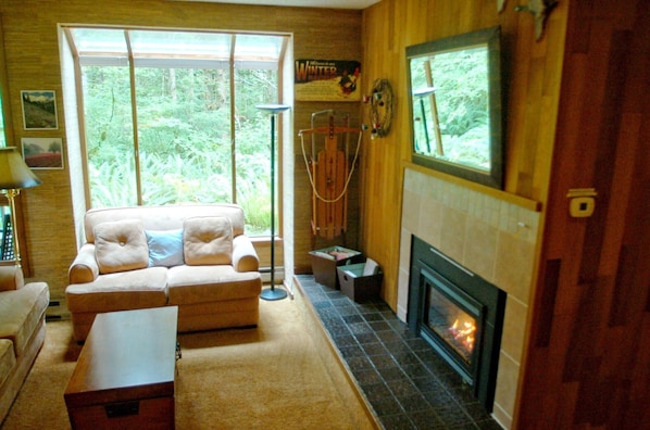Apartment, 2 Bedrooms, Smoking, Fireplace | Living room