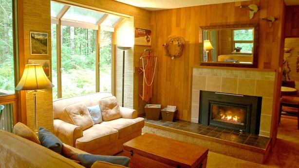 A cozy living room with a fireplace, a sofa, a coffee table, and a large window offering a view of the forest.