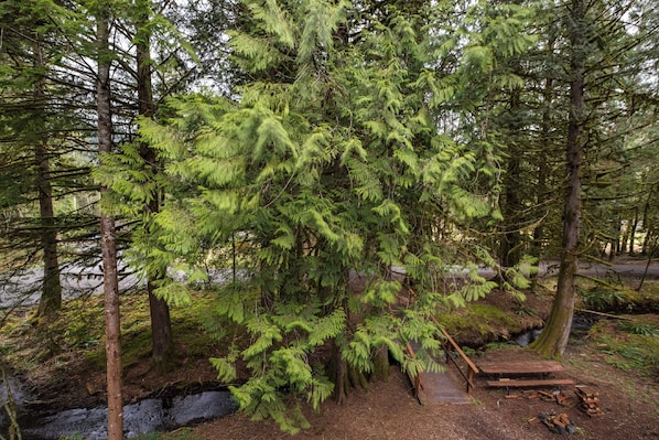 Apartment, 1 Bedroom, Smoking, Fireplace | Property grounds