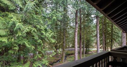 Mt Baker Lodging Condo 94 - A Great Condo Near Skiing and Hiking Now has Wifi