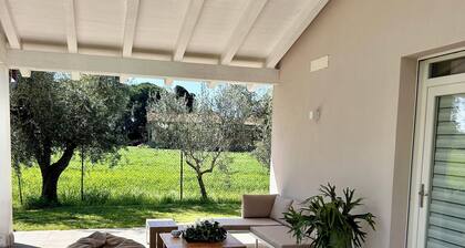 Casa RiVa - Among the olive trees and the Tuscan coast
