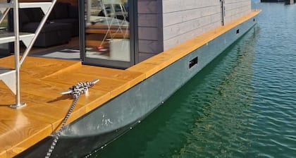 Panoramic electric boat, sail on the Lac du Der without a license. Nemours