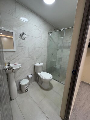 Cabezal de ducha con hidromasaje, toallas, papel higiénico