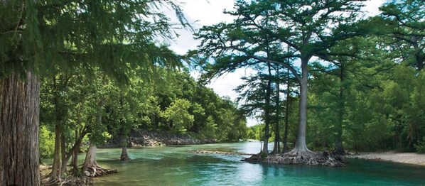 Un río rodeado de árboles frondosos.