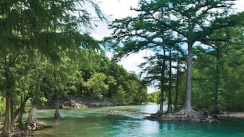 A river surrounded by dense trees.