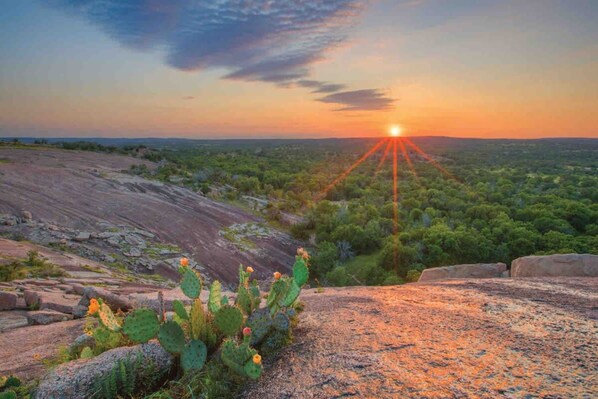 Un paysage désertique avec un cactus au premier plan et un coucher de soleil en arrière-plan.