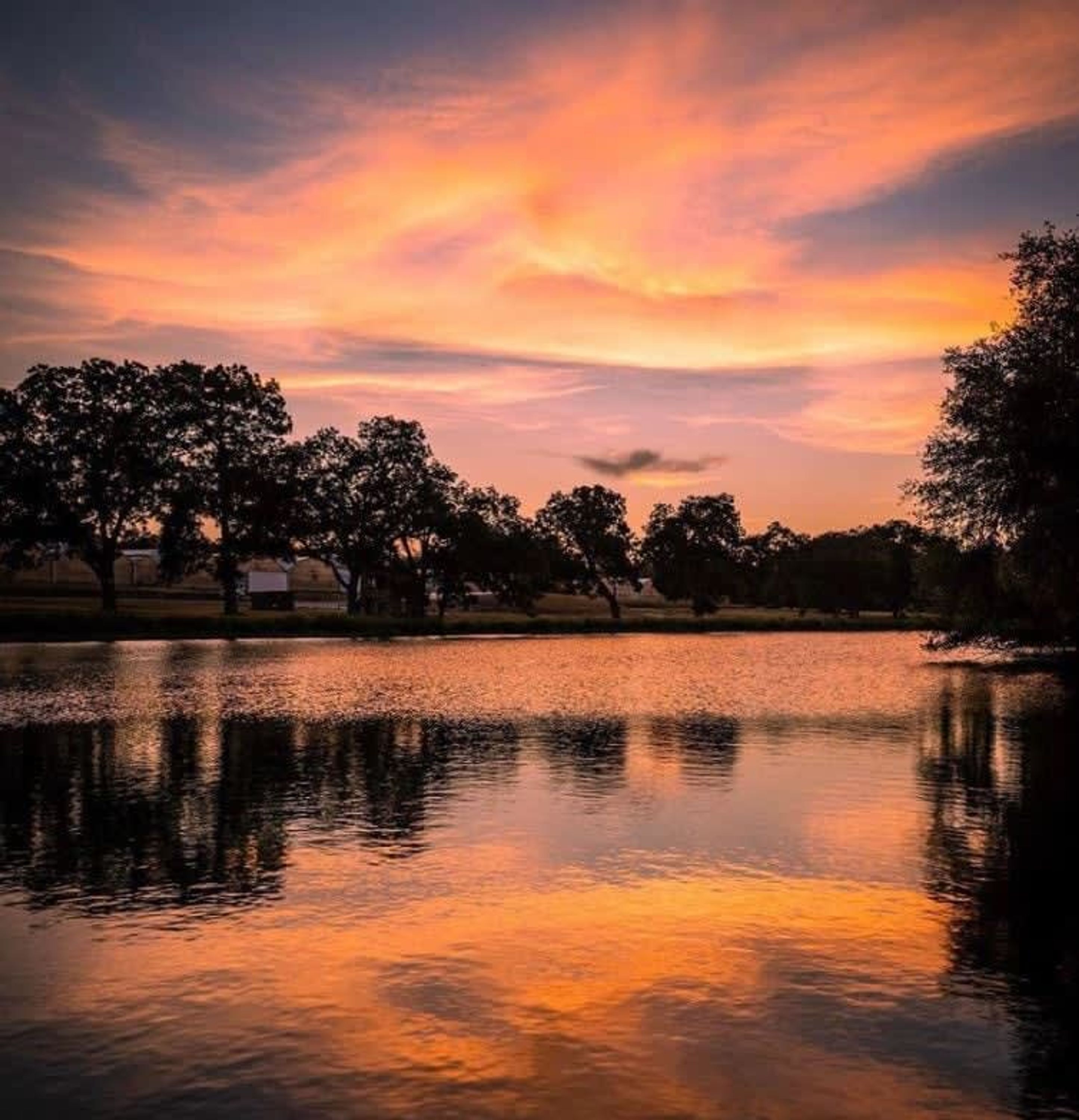 独立别墅 | 3 多间卧室、办公桌、高速上网