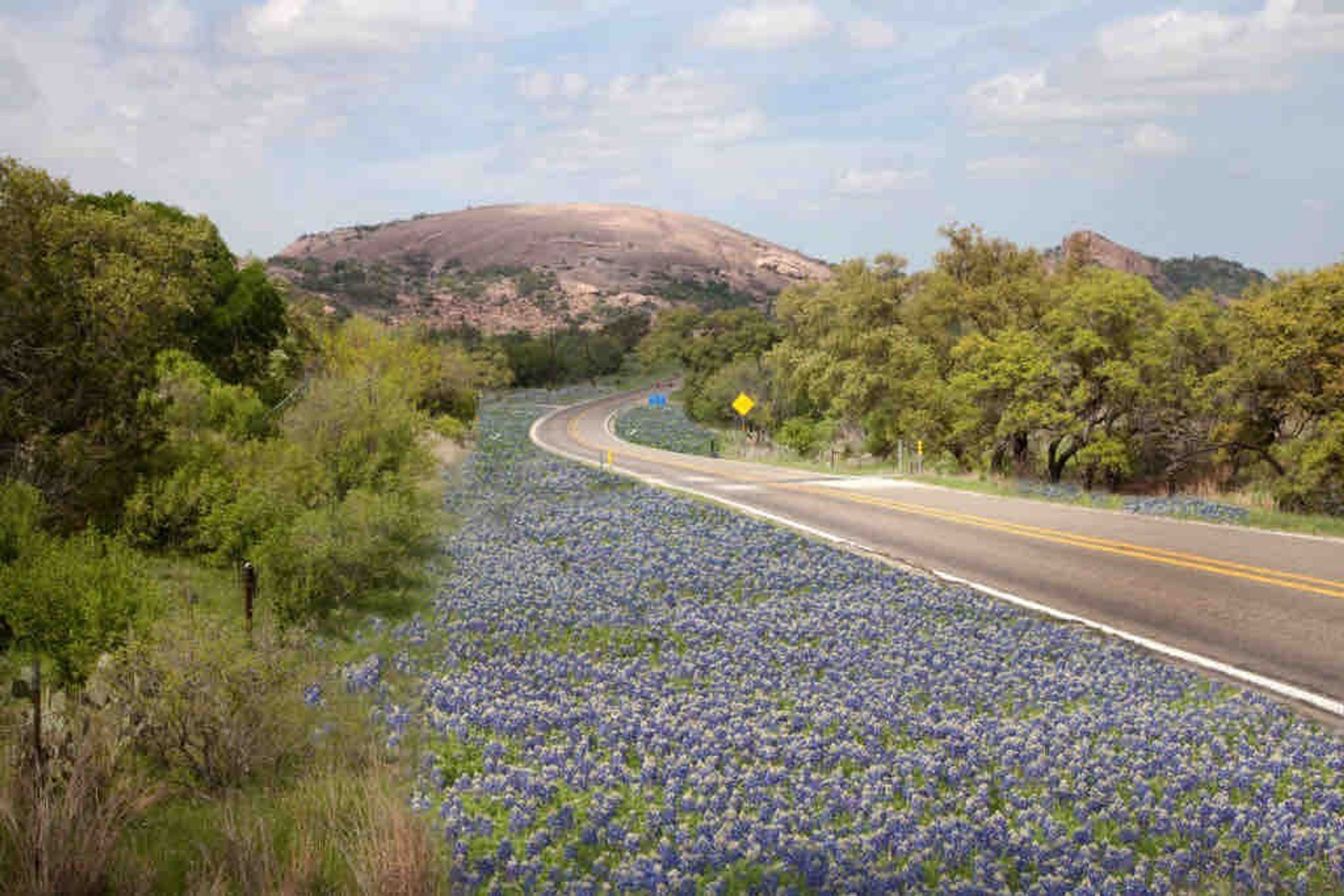 Un camí s'enfila a través d'un camp de flors blaves, amb turons al fons.