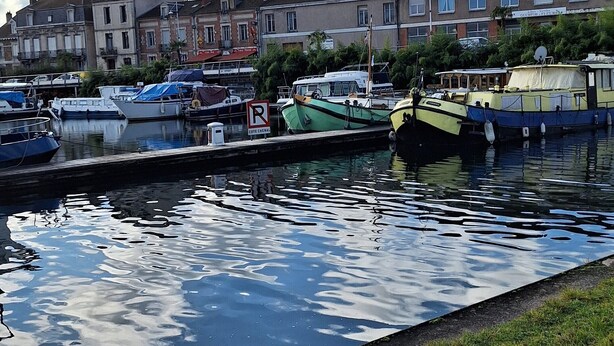 Uma marina com barcos atracados, uma área gramada em primeiro plano e edifícios ao fundo.