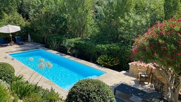 Relax by the serene pool surrounded by lush greenery and comfortable lounge seating.