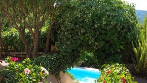 A garden with a pool, surrounded by various plants and trees. - Apartment in Pegomas With Private Pool (Pegomas)