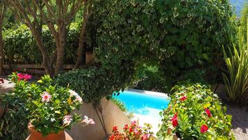Casa | Jardín