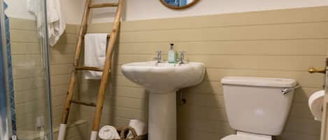 Shower, hair dryer