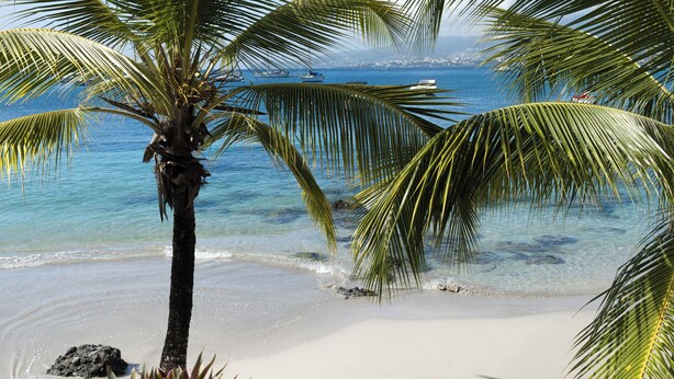 Ein Strand mit klarem, blauem Wasser, einer Palme und im Hintergrund einige Boote.