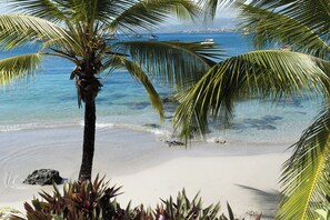 Uma praia com águas azul-claras, uma palmeira e embarcações ao longe.