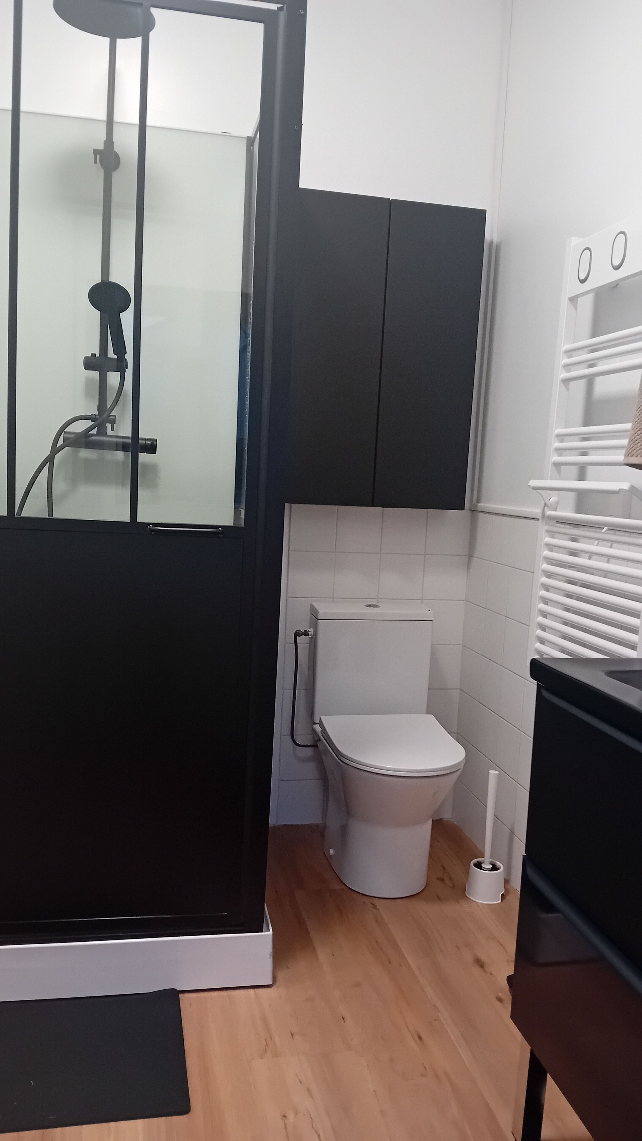 Shower, hair dryer, bidet, soap