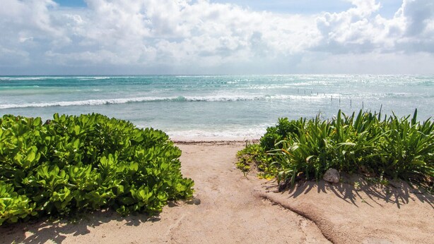 A sandy beach with green vegetation in the foreground and a view of the ocean with waves under a partly cloudy sky.