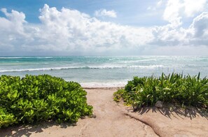 Una playa arenosa con vegetación verde en primer plano y vista al océano con olas bajo un cielo parcialmente nublado.