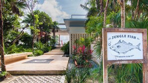 A pathway leading to a building with a sign reading "Jungle Fish Beach Club".