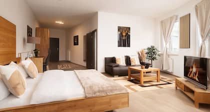 Hotel Vier Jahreszeiten direkt an den Kliniken und Therme Bad Krozingen, nahe Freiburg