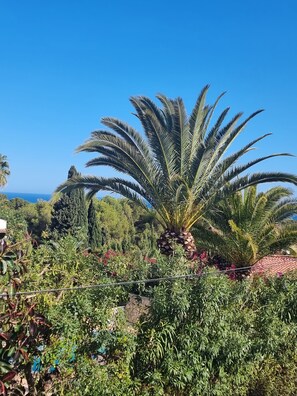 Property grounds - Moraira/Benissa, sea view, private pool, families, pets allowed, quiet area (Benisa)