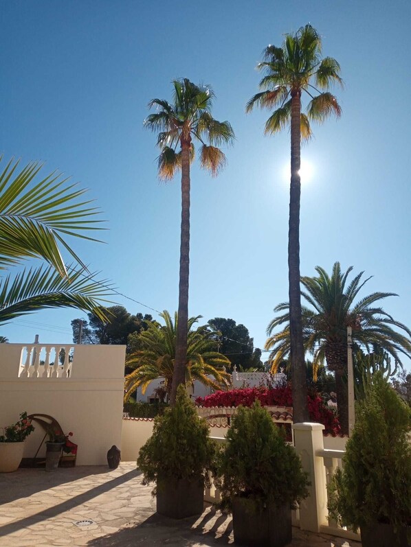 Property grounds - Moraira/Benissa, sea view, private pool, families, pets allowed, quiet area (Benisa)