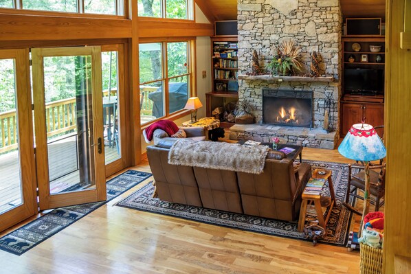 Télévision, cheminée, lecteur de DVD, médiathèque