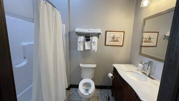 Baño con ducha, inodoro, lavabo y espejo.