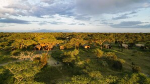 A savannah landscape with scattered huts and a clear sky.