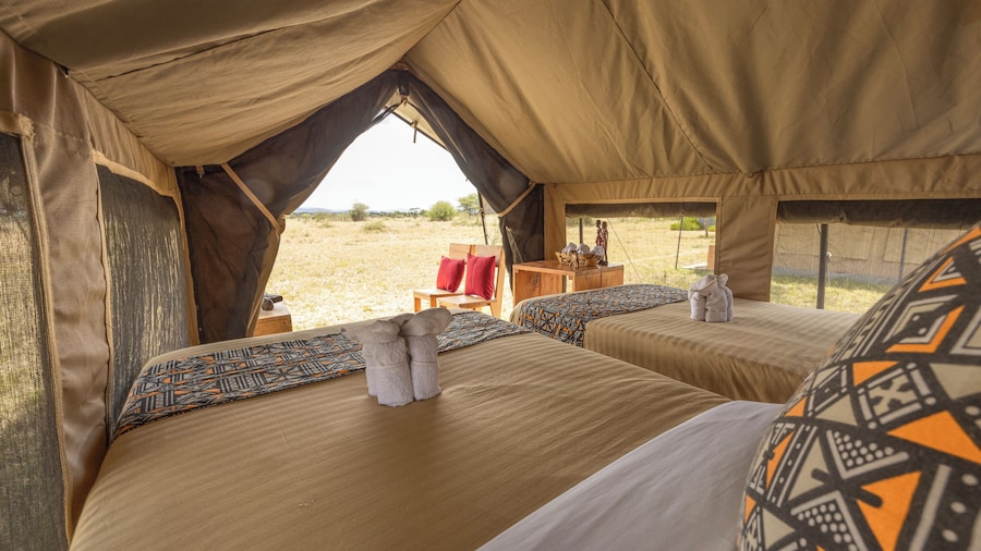 Africa Safari South Serengeti Camping