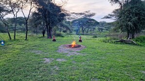A grassy field with a fire pit in the center surrounded by trees.