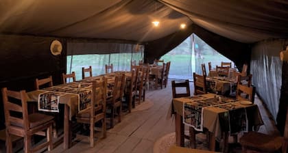 Africa Safari South Serengeti Camping
