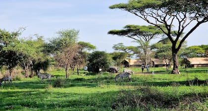 Africa Safari Ngorongoro Ndutu