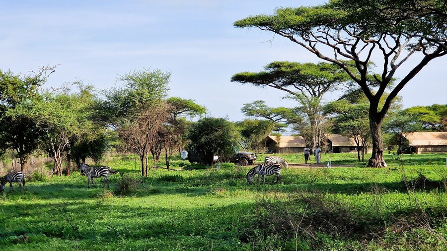 Africa Safari Ngorongoro Ndutu