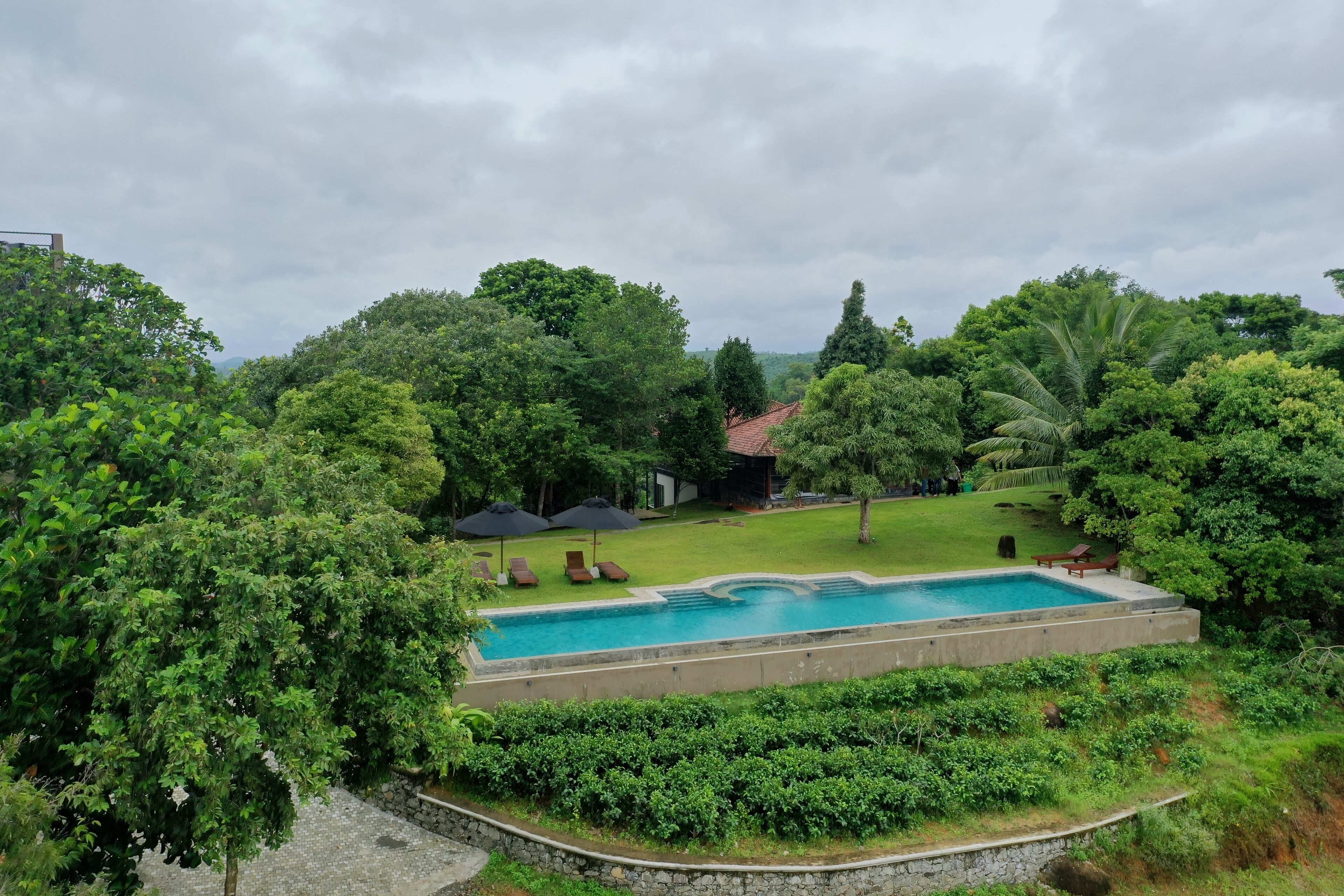 A swimming pool surrounded by lush greenery and a stone wall.