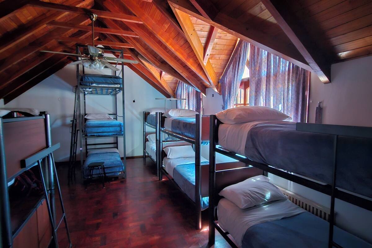 Comfort Shared Dormitory, Patio, Courtyard View | Free WiFi