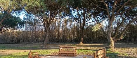 Parco della struttura