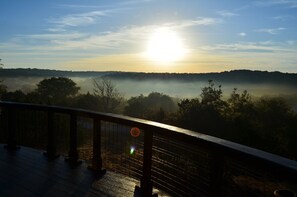 Property grounds - AVAILABLE! Hill Country Resort Style SPA/POOL-Sleeps 14 (20min DOWNTOWN (Austin)