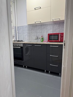 Fridge, microwave, oven, coffee/tea maker - 2 minutes walk to national park. 
Perfect apartment for a romantic get away.  (București)