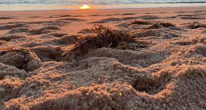 Charming 6 bdr house-Chappaquiddick near Edgartown, beaches, 20x60pool,amenities