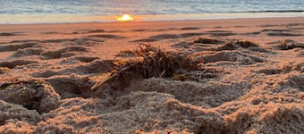 Charming 6 bdr house-Chappaquiddick near Edgartown, beaches, 20x60pool,amenities