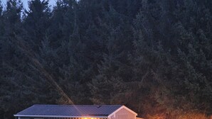 A small, single-story building with a fenced yard, a picnic table, and string lights.