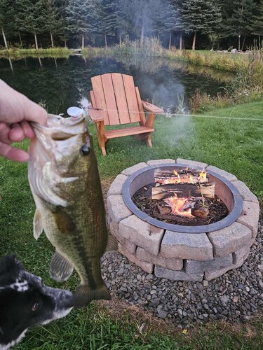 Cozy Pondside Retreat  - near Oneonta & Cooperstown