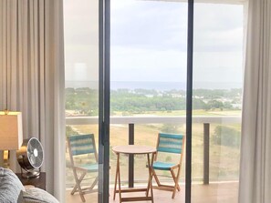 Smart TV, reproductor de DVD y libros 