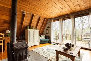 Smart TV, lareira, DVD player, livros