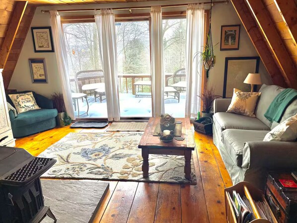 Smart TV, fireplace, DVD player, books