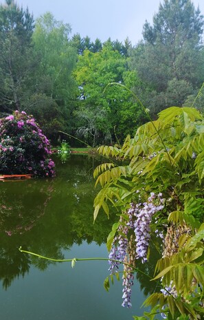 Terrain de lâhĂ©bergement