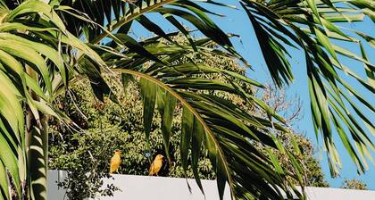 Garden of Growth Eco Lodge