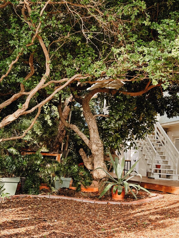 Terrain de l’hébergement 