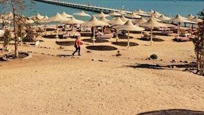 A beach with sun umbrellas and a pier in the background.